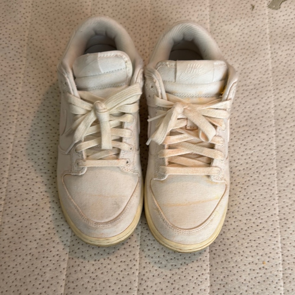 Women’s Nike dunk low the future is equal